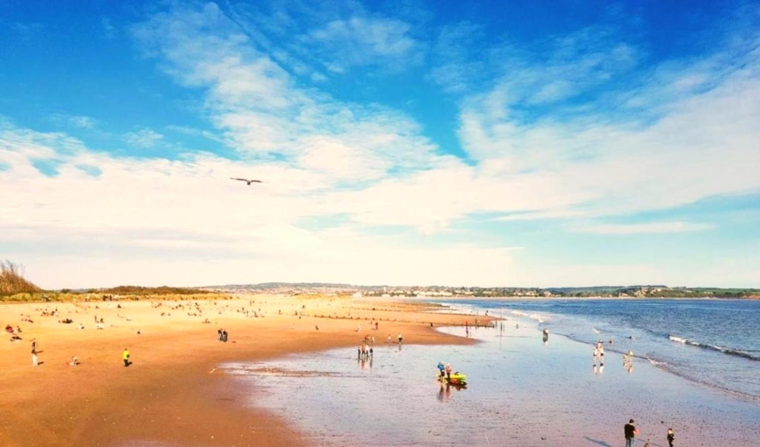 Hillside Caravan Dawlish Bagian luar foto